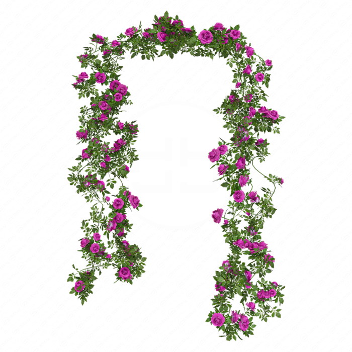 Живая арка из роз