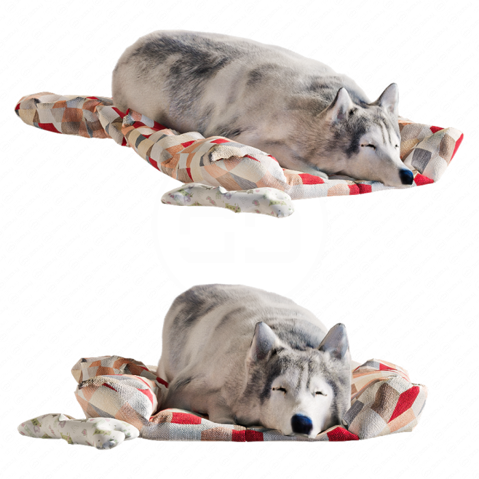 Собака на коврике