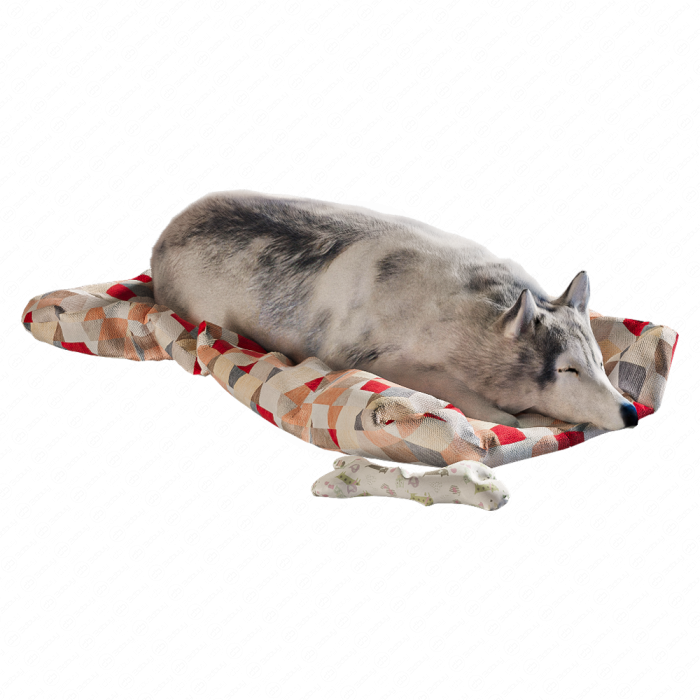 Собака на коврике