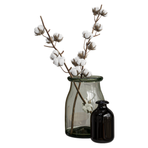 Cotton stems in a vase