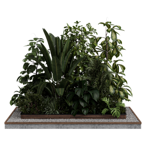 Outdoor plant Collection 123 - Wooden box for plant garden