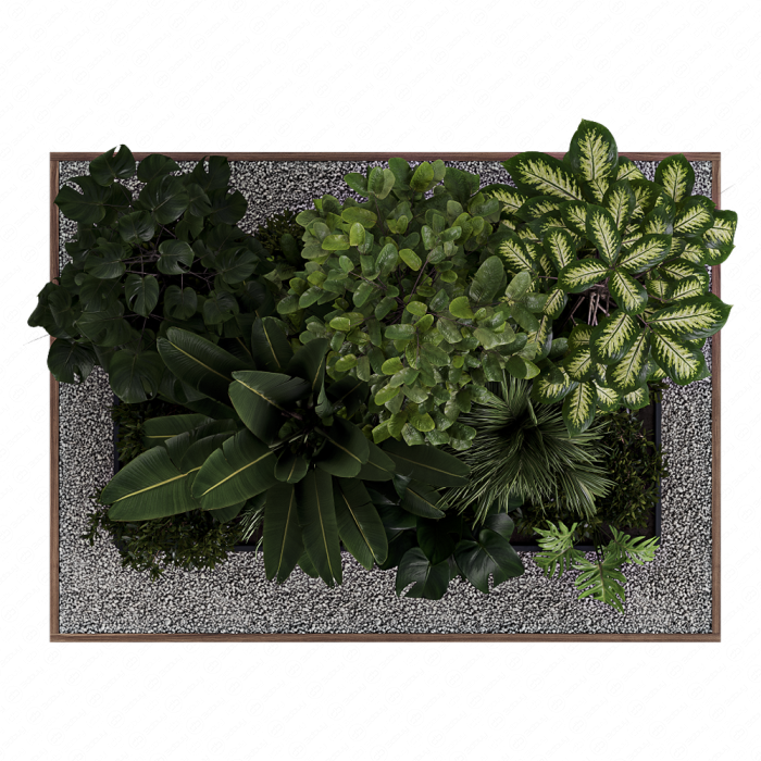 Outdoor plant Collection 123 - Wooden box for plant garden