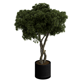 Houseplant No. 53