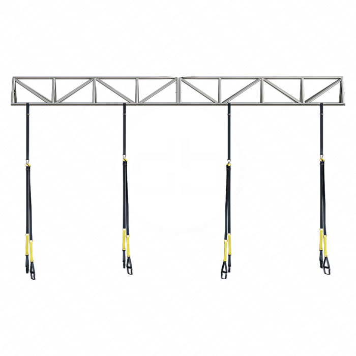Спортивное снаряжение TRX Gym System