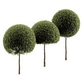Spherical tree03