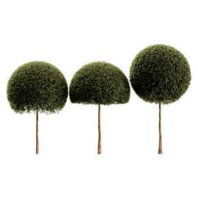 Spherical tree03
