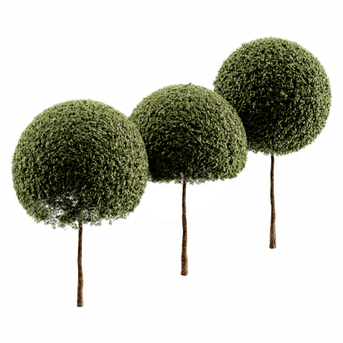 Spherical tree03