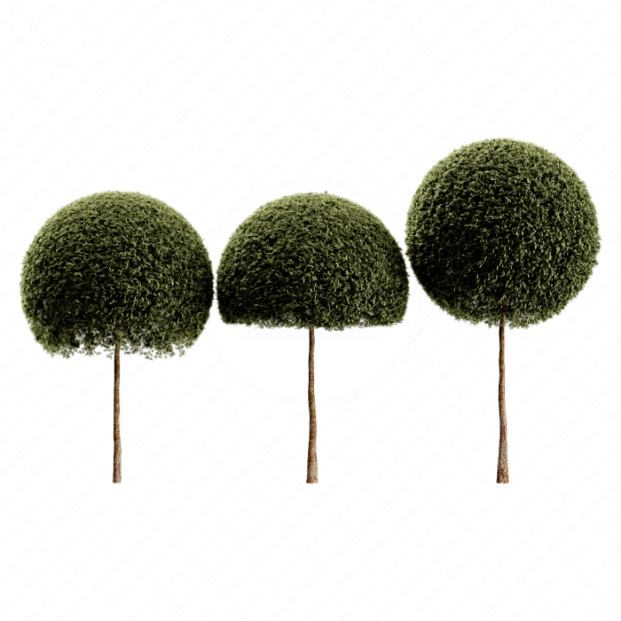 Spherical tree03