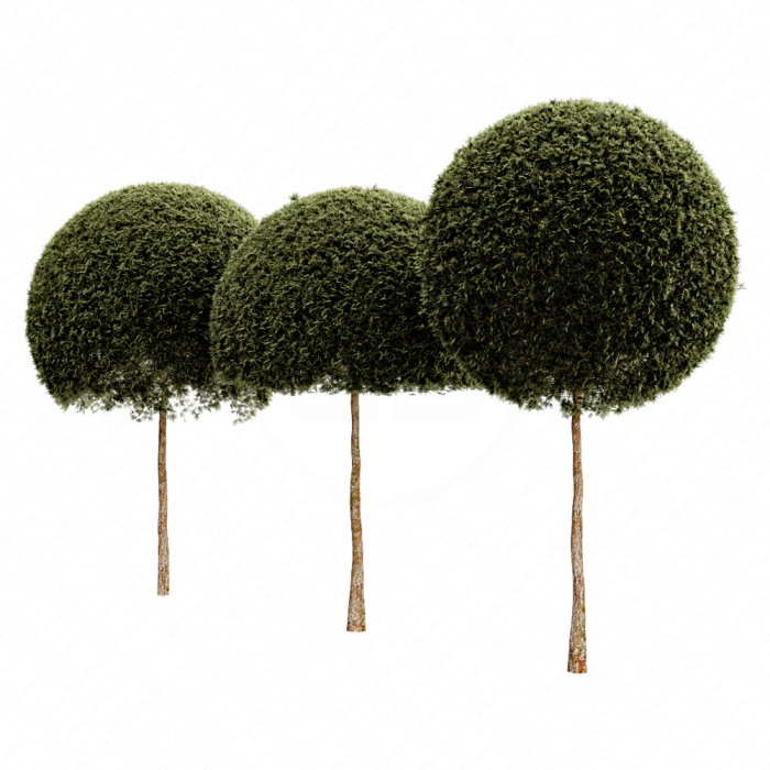 Spherical tree03
