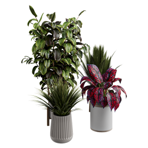 Houseplants No. 25