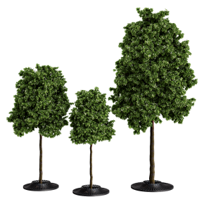 Деревья Calyx