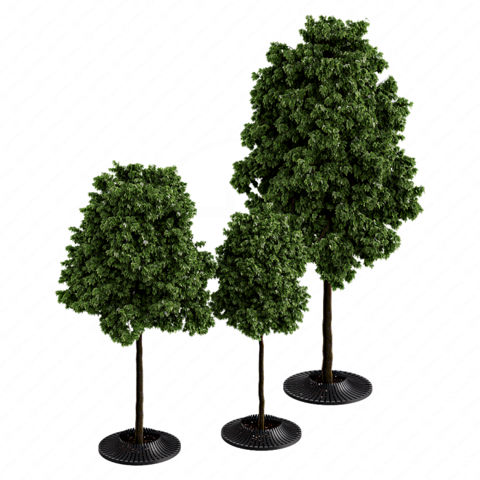 Деревья Calyx Деревья Calyx