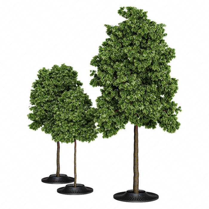 Деревья Calyx Деревья Calyx