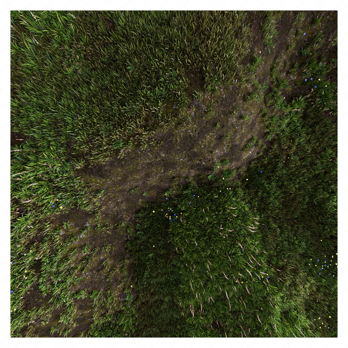 Трава на склоне Трава на склоне