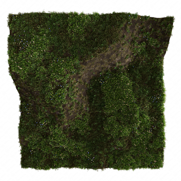 Трава на склоне Трава на склоне