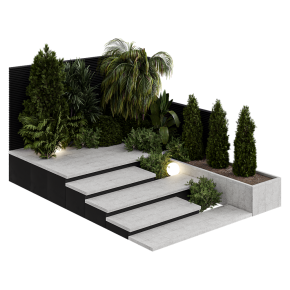 Backyard landscape design