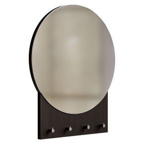Mirror with coat rack