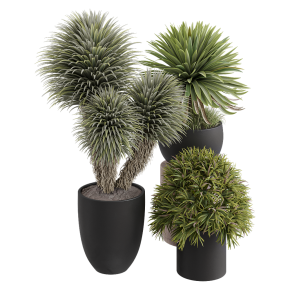 Houseplants No. 32