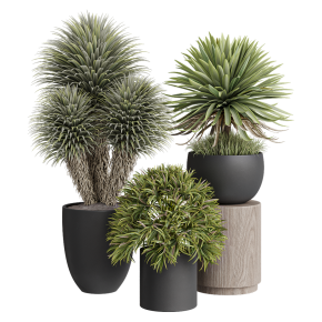 Houseplants No. 32