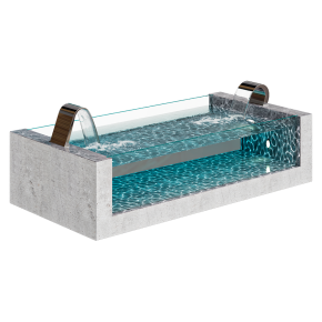 Pool Niagara dolphin