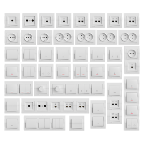 Lezard Deriy sockets and switches