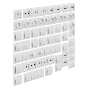 Lezard Deriy sockets and switches