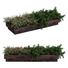 Клумба с кустами с ягодами