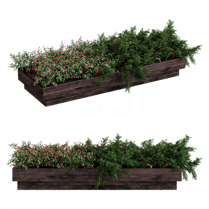 Клумба с кустами с ягодами