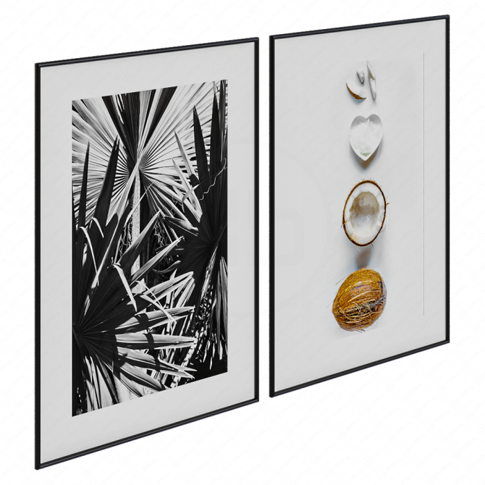 Постеры от Garda Decor с кокосом