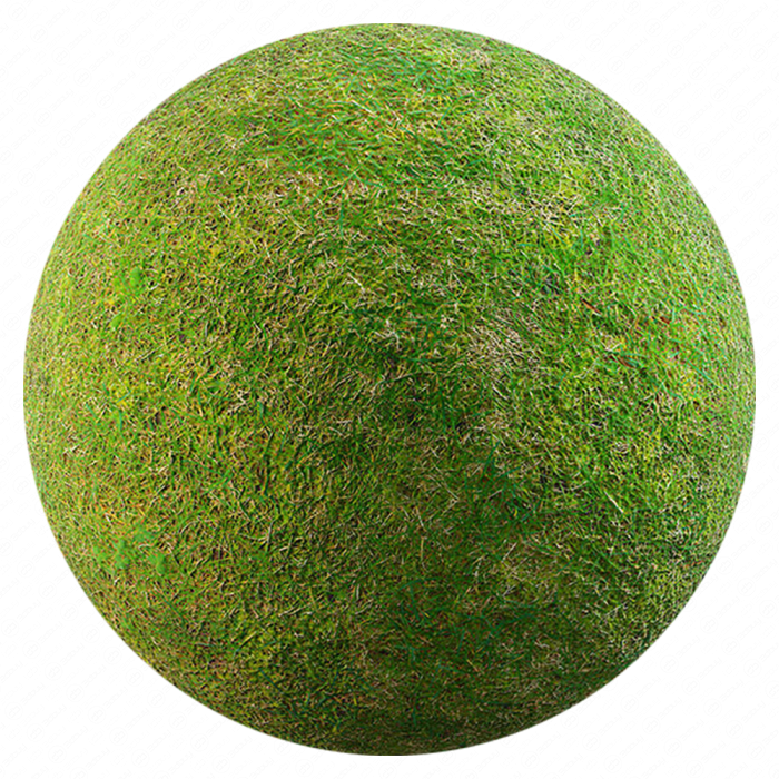 Текстура травы 004