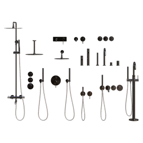 Faucet and shower head Timo Saona
