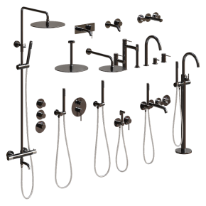 Faucet and shower head Timo Saona