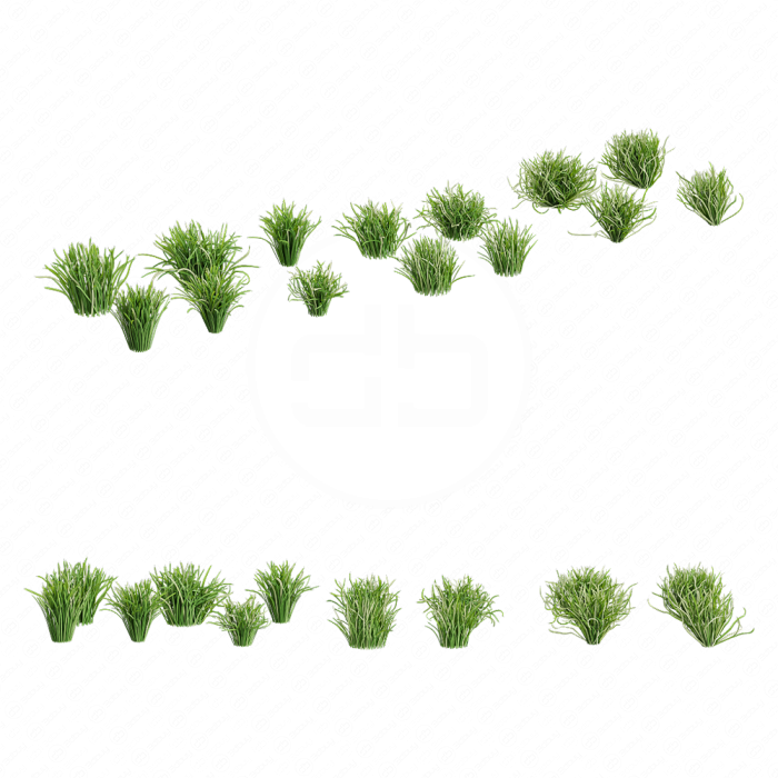 Garden Lawn