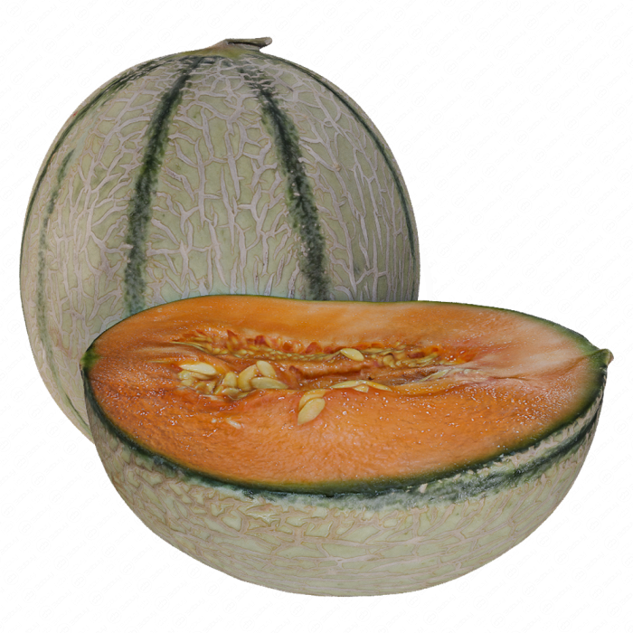 Дыня