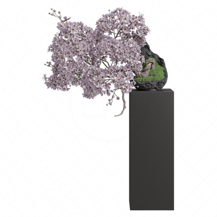 Бонсай цветущая Сакура