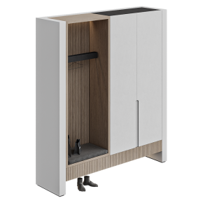 A modern-style entryway.