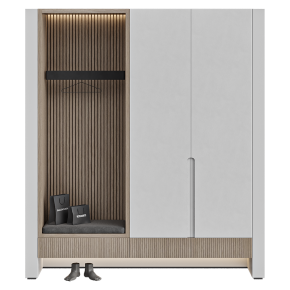 A modern-style entryway.