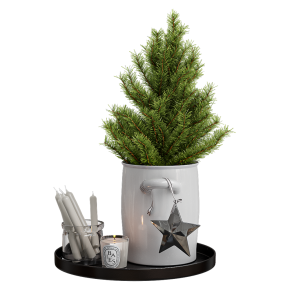 Christmas decor with a small Christmas tree.
