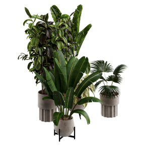 Houseplants No. 26
