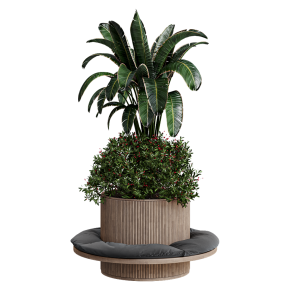 indoor Plant 249