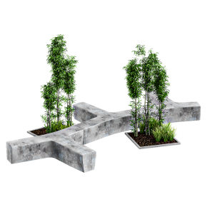 Бамбук декоративный