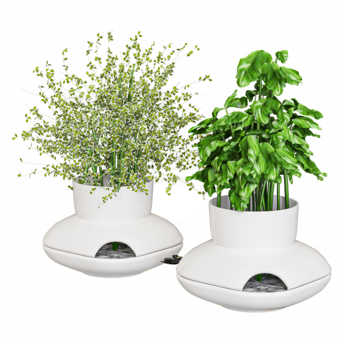 Цветы в белых горшках Herbs Sagaform