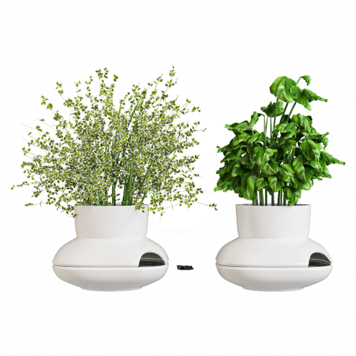 Цветы в белых горшках Herbs Sagaform