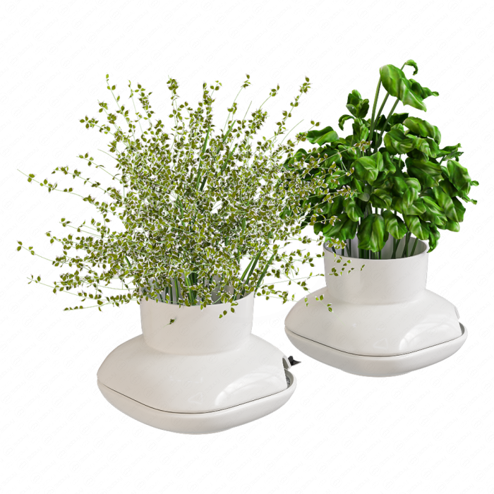 Цветы в белых горшках Herbs Sagaform