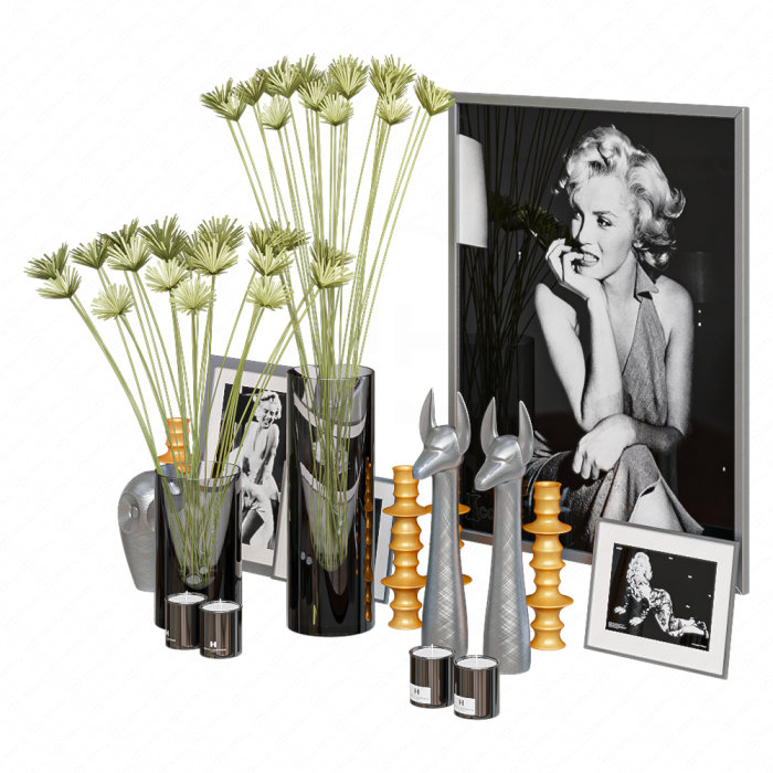 Вазы и растения от kellyhoppen deco
