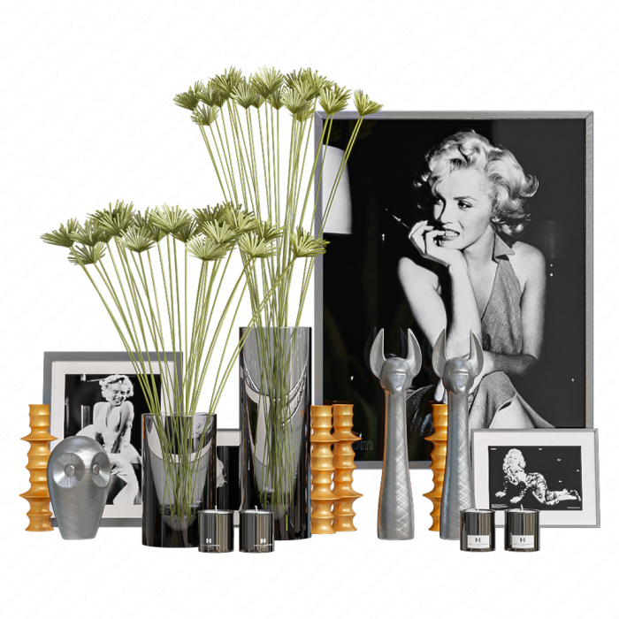 Вазы и растения от kellyhoppen deco