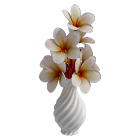 Decorative bouquet of plumerias in a vase