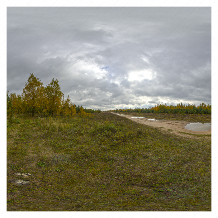 HDRi осень, лес