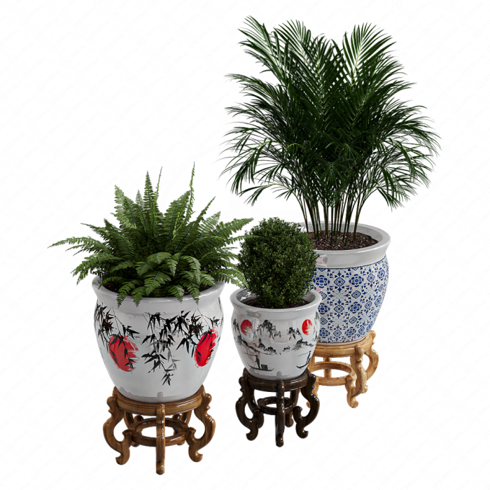 Растение Porcelain