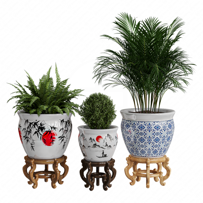 Растение Porcelain